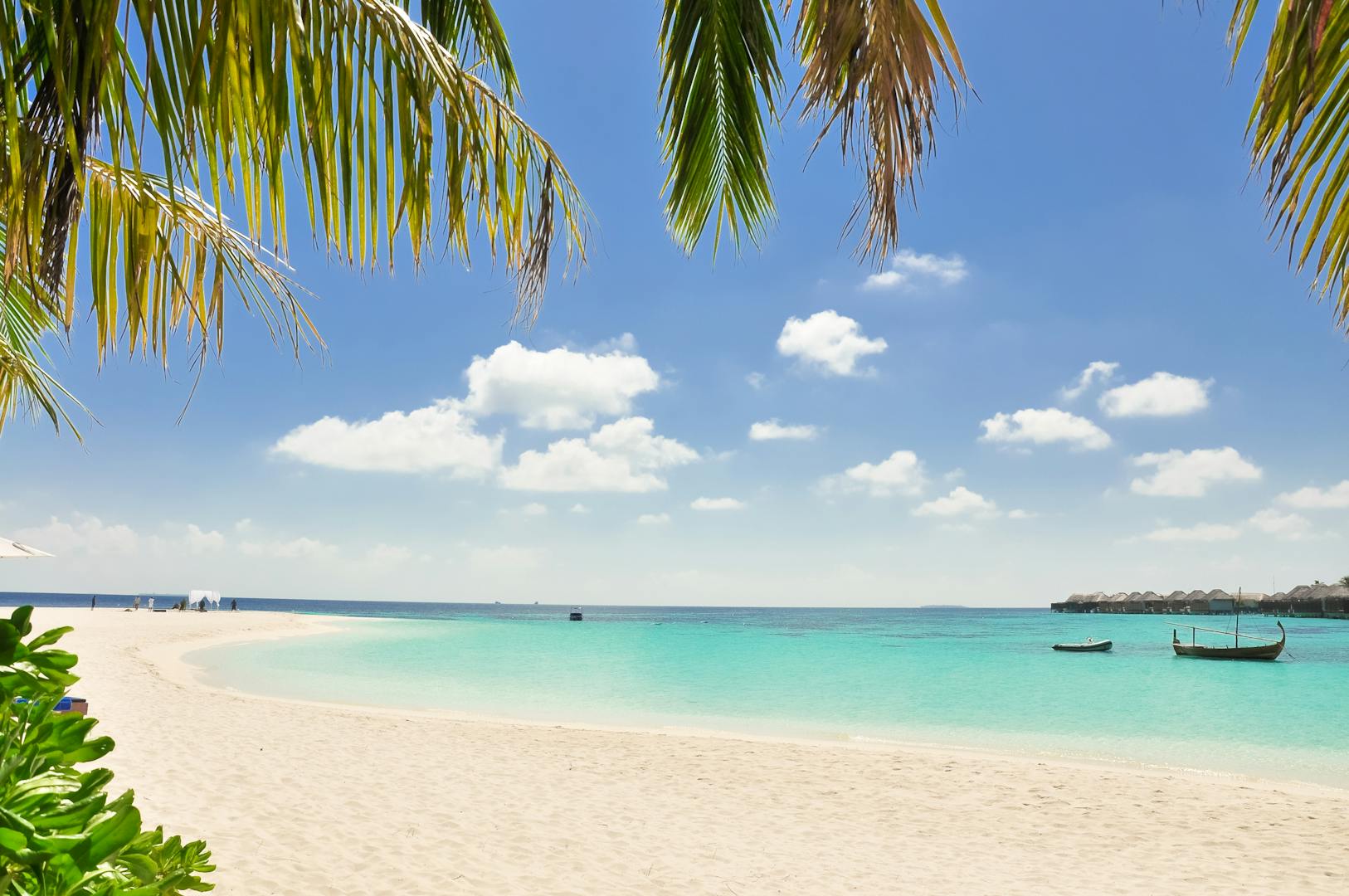 Tropical beach paradise